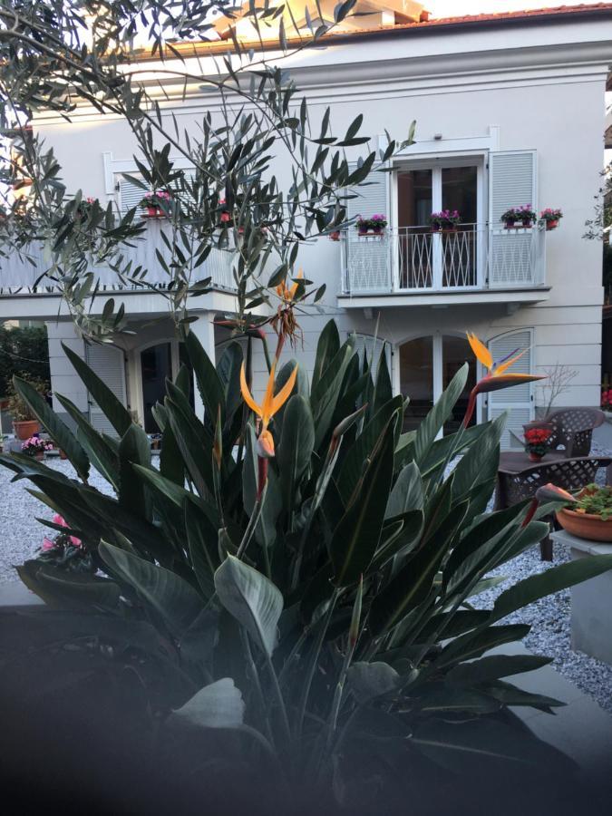 Guesthouse Villa Jung Bordighera Exteriér fotografie